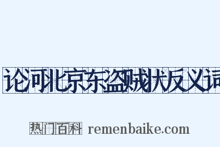 论河北京东盗贼状反义词是什么意思的图片